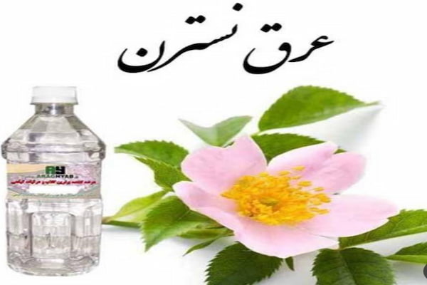 تصویر 2 از قیمت خرید عرق نسترن کوهی + فروش ویژه